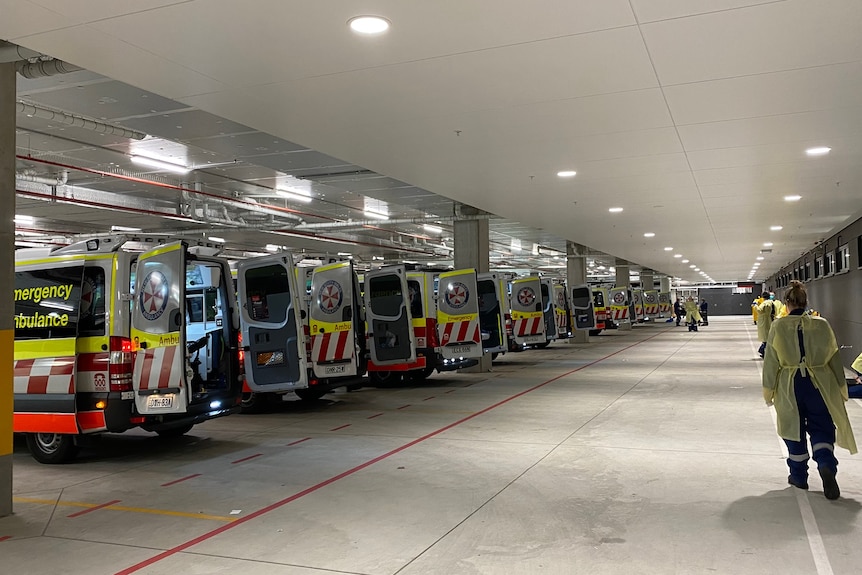 Westmead Hospital ramping during August