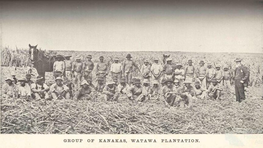 A group of two dozen men posing in the middle of a cane farm
