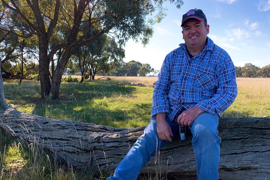 A man is sitting on a log in a paddock 