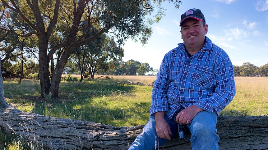 A man is sitting on a log in a paddock 