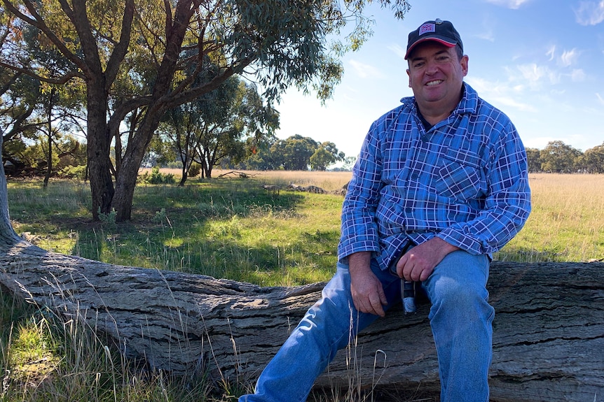 A man is sitting on a log in a paddock 