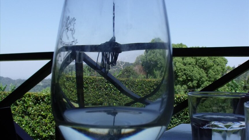 Glass of wine at Ilnam Estate, Tweed Valley