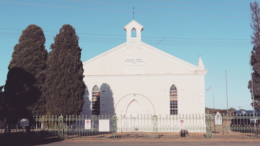 A historic white church behind an iron fence under a blue sky, with two tall ornamental bushes in front.