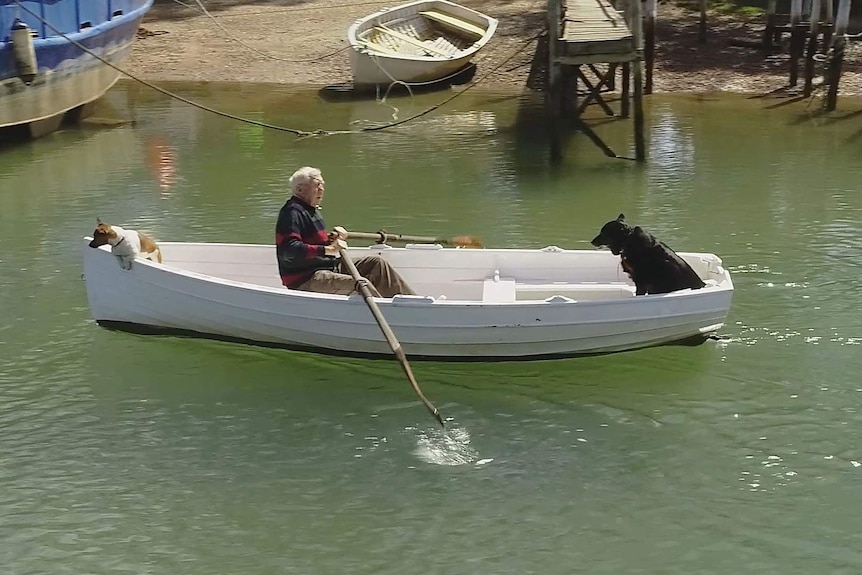 Old man rowing his boat with a small dog hanging off the bow and a larger dog at the stern