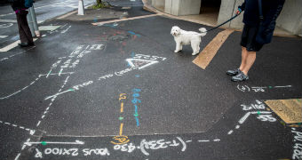 Paint markings on the footpath where the Metro Rail Project will be built.