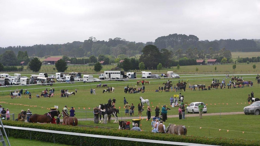 A wide shot of a large country show ring filled with equine events.