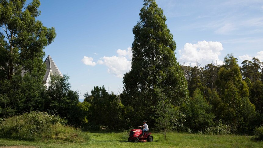 A boy drives a ride-on mower across lushly growing grass, the peak of a house and tree tops poking into the blue sky.