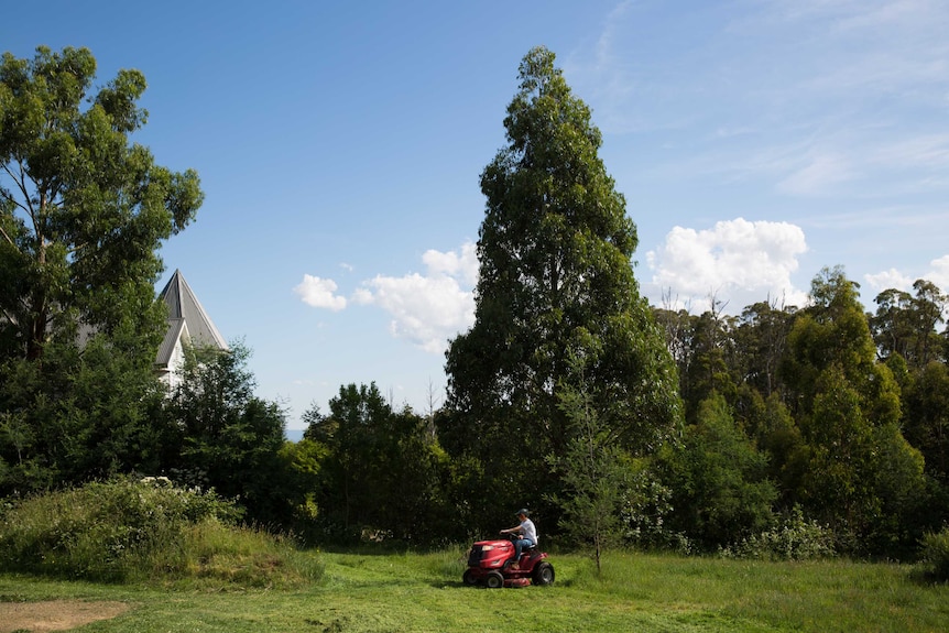 A boy drives a ride-on mower across lushly growing grass, the peak of a house and tree tops poking into the blue sky.