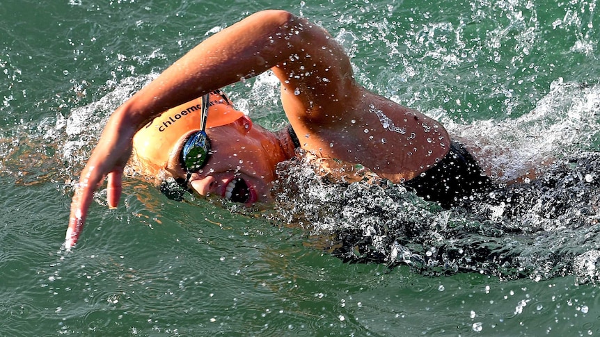 A long distance swimmer in the water as she raises her left arm while swimming freestyle.
