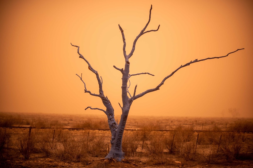 Dead tree siluetted with positive messages on a dust filled sky