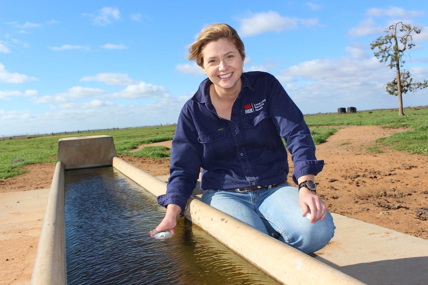 Woman in a blue shirt and jeans taking water sample from water trough.