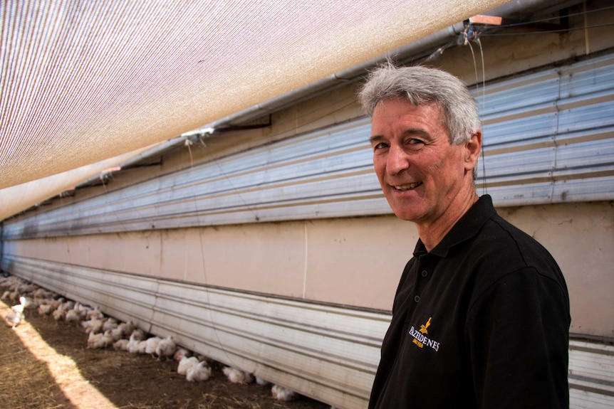 Mark Johnston is the broiler farm manager for Hazeldene's.