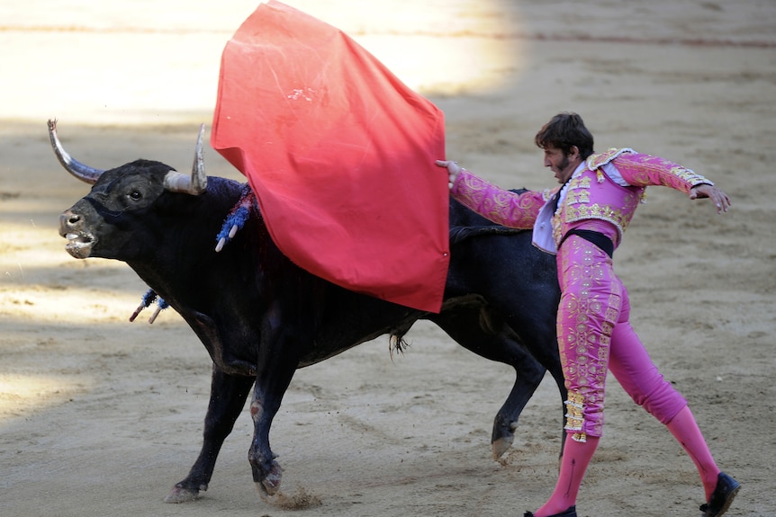 Spanish matador Juan Jose Padilla