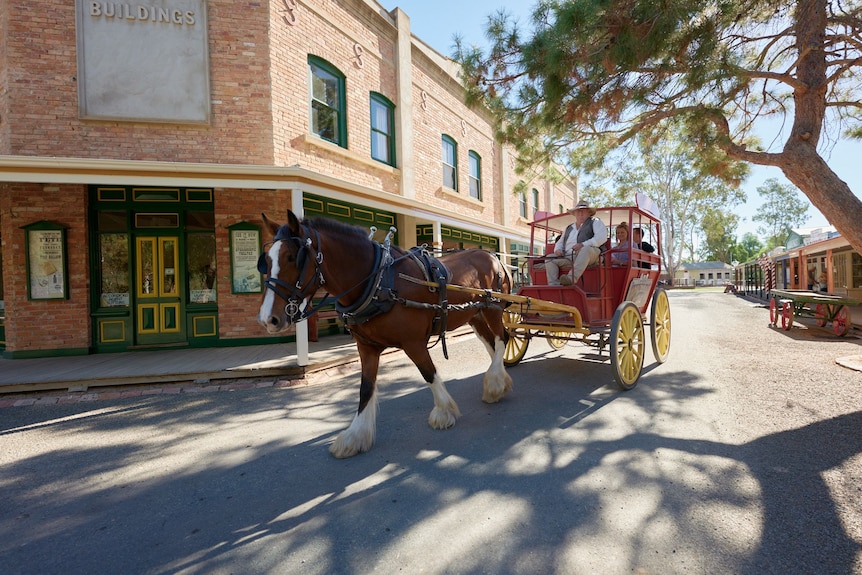 A brown and white clydesdale horse pulling a carriage through a street at the Pioneer Settlement in Swan Hill.