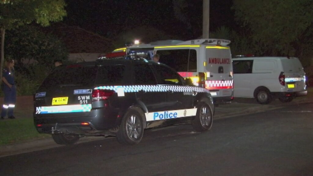 Man assaulted with pole in Sydney home invasion - ABC News
