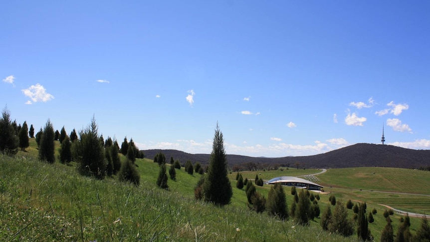 Forest 40, also known as the cypress forest, at the National Arboretum, Canberra, September 2104.