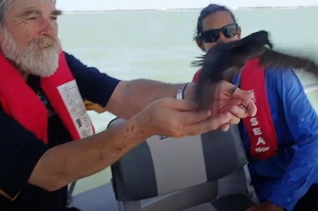 Two men in a boat releasing a bird