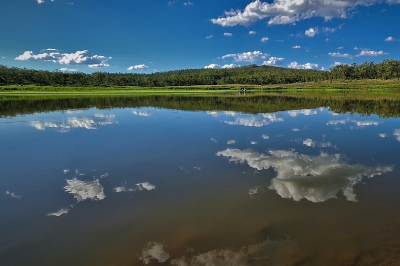 Clouds and blue sky reflect on dam water, greenery and trees in background.