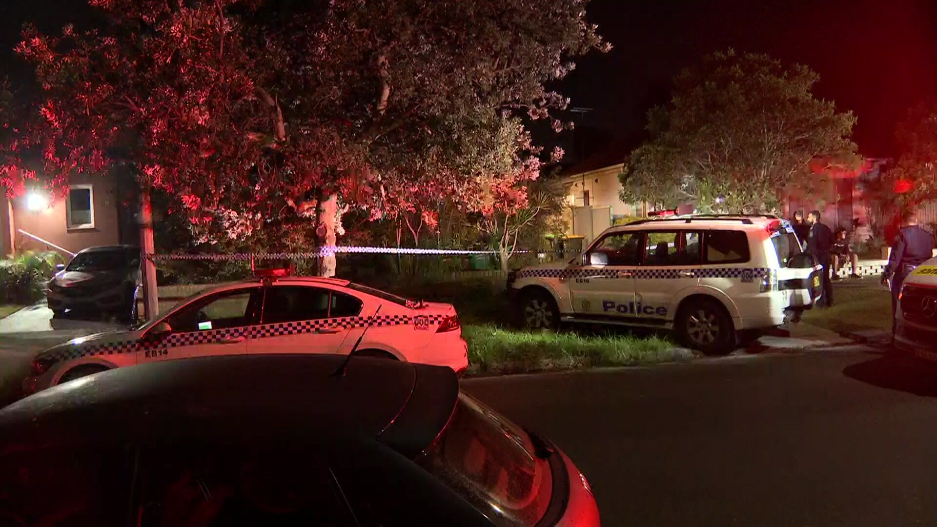 Woman arrested after man fatally stabbed in home in Sydney's eastern ...