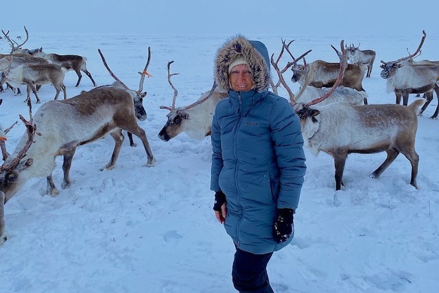 A woman in a winter parka with hood, stands on the snow with a reindeer herd behind her.