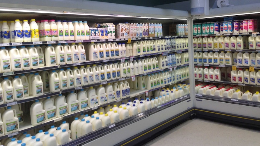 an open milk fridge display in a major supermarket showing the range of milk available in a Woolworths supermarket