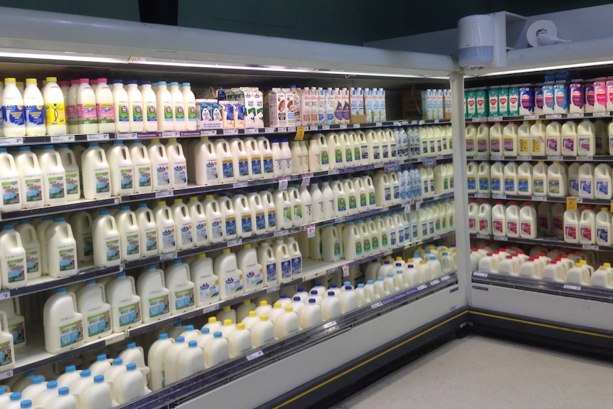 an open milk fridge display in a major supermarket showing the range of milk available in a Woolworths supermarket