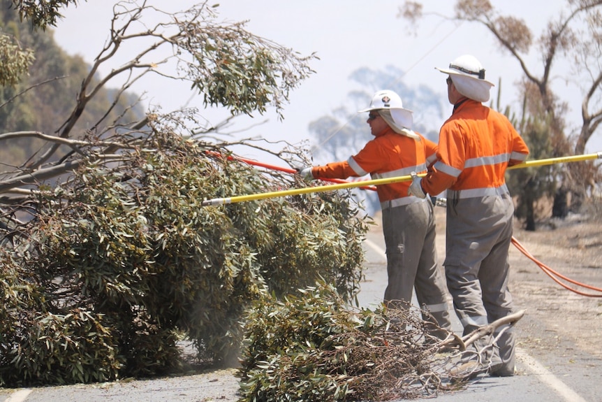 SA Power Networks working to restore power