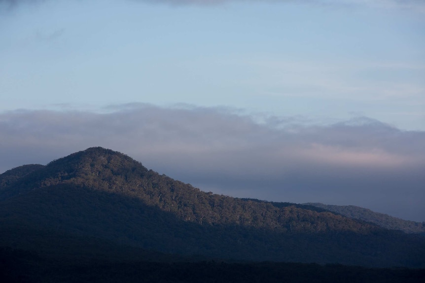 A shadow is cast over a bushy hill.