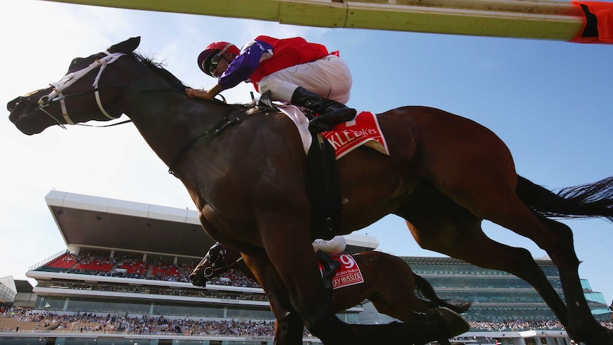 Dom Tourneur rides Hucklebuck to victory in the Emirates Stakes