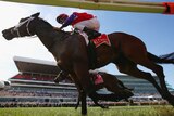 Dom Tourneur rides Hucklebuck to victory in the Emirates Stakes