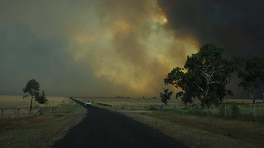A large plume of smoke to the right of a road near Uarbry.