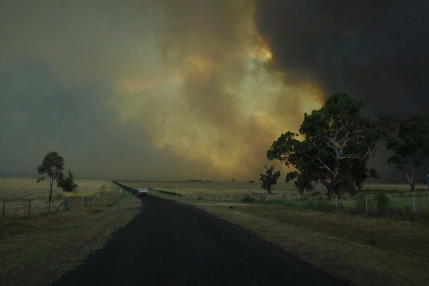 A large plume of smoke to the right of a road near Uarbry.