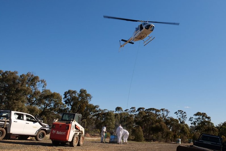 A helicopter flies over three men who have tied a rope to a bee hive, which is moved over dry ground