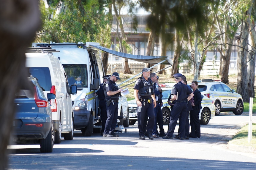 Police investigate in a suburban street.