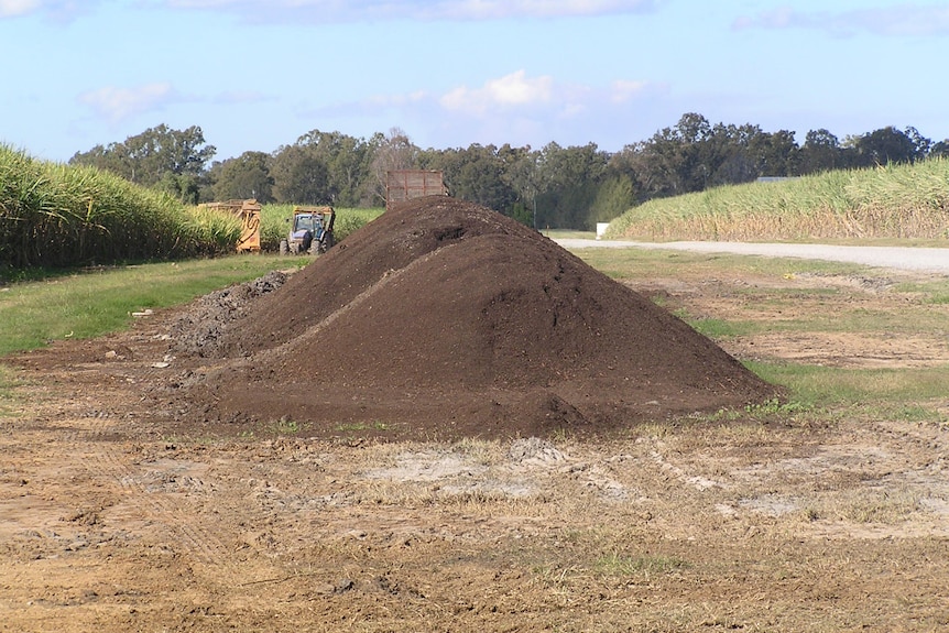 A pile of compost.