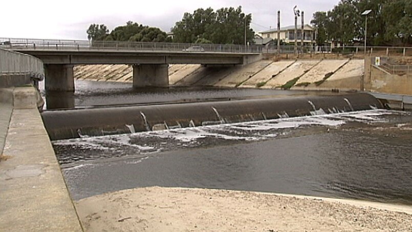 Stormwater flows from the Torrens into the Gulf