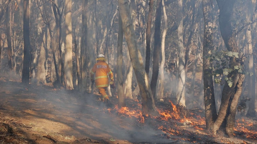 A rural fire brigade member during a controlled in the Australian bush.