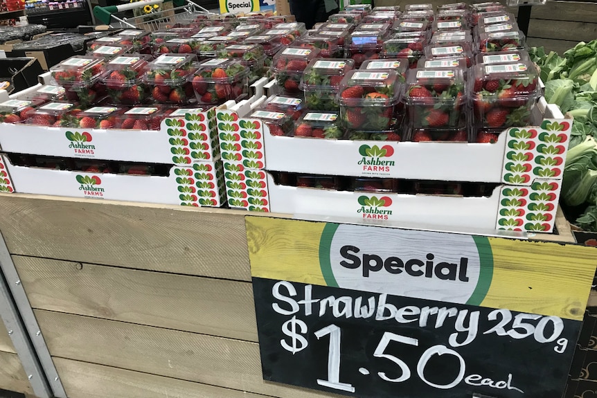 Las fresas se venden en Woolworths a 1,50 dólares por 250 g.