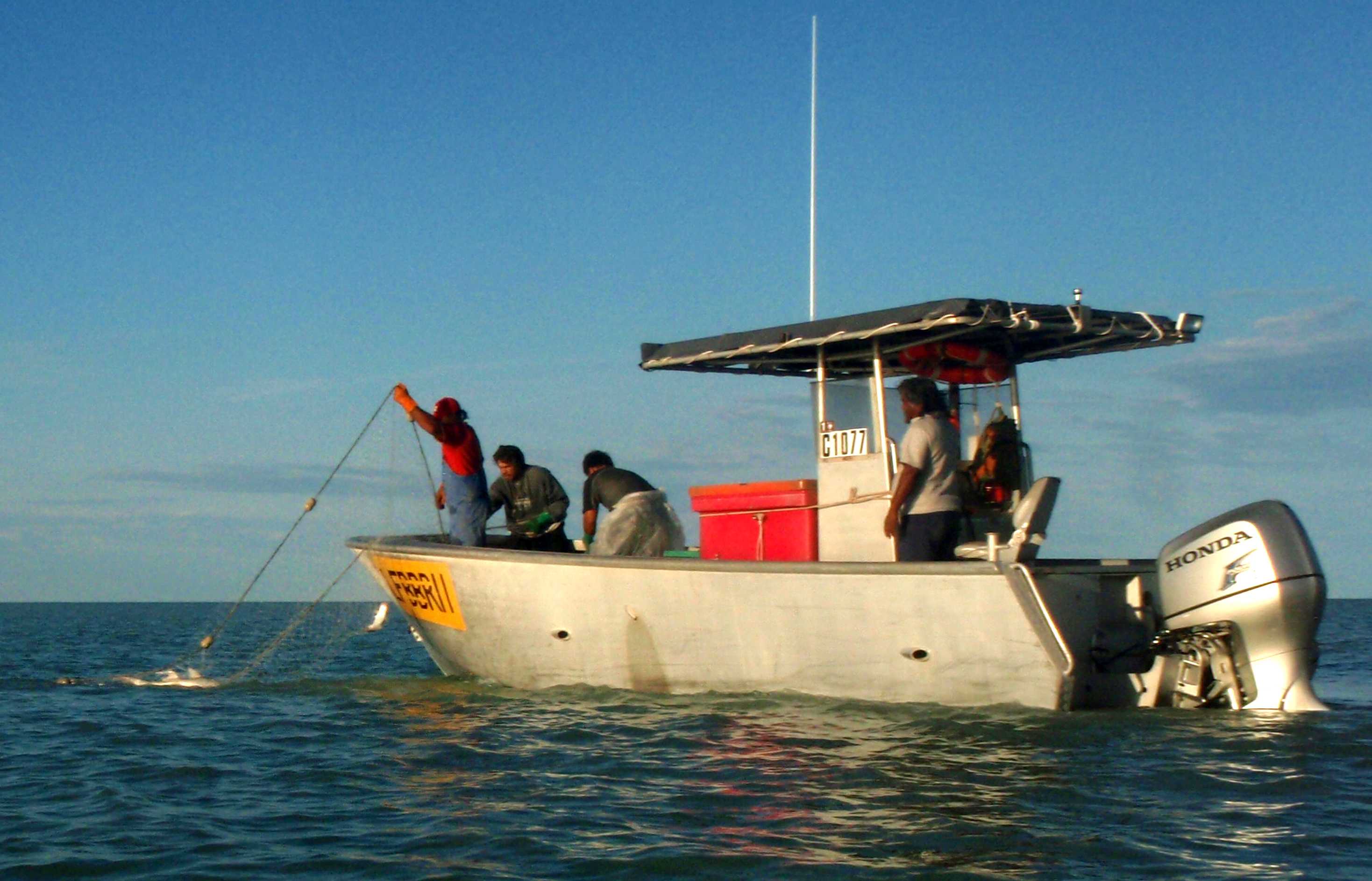 Roebuck Bay commercial gillnet fishing out in the waters near Broome