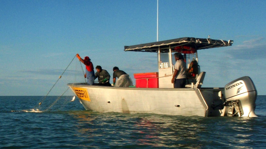 Roebuck Bay commercial gillnet fishing out in the waters near Broome