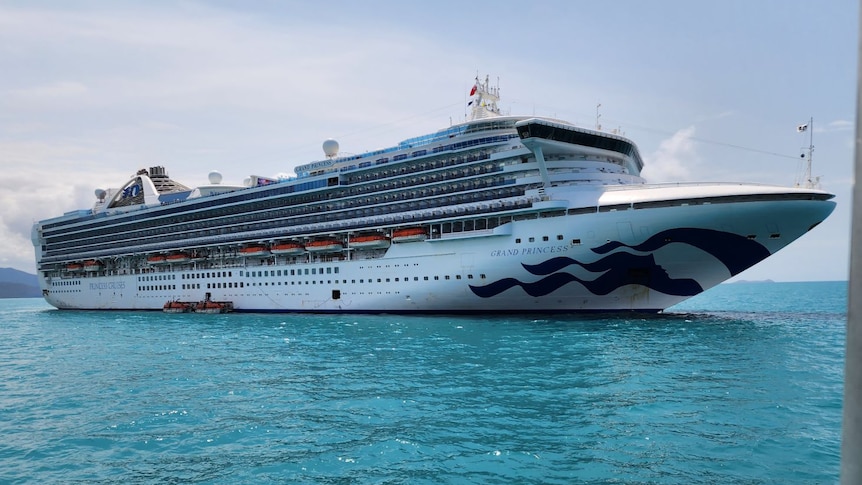 A large cruise ship sailing into a harbour