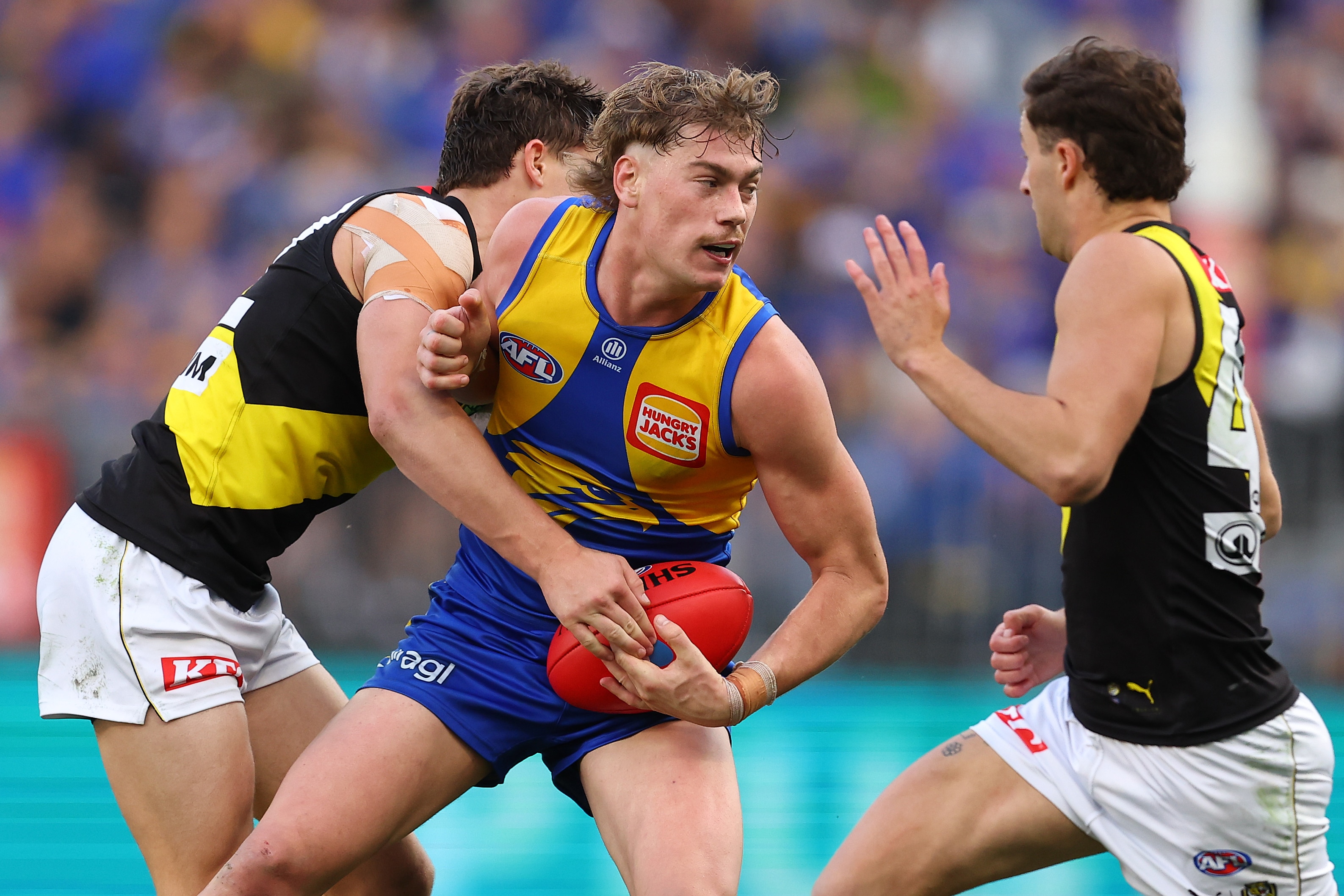 Tigers, Eagles clash in battle for draft ascendancy, avoiding wooden spoon ignominy