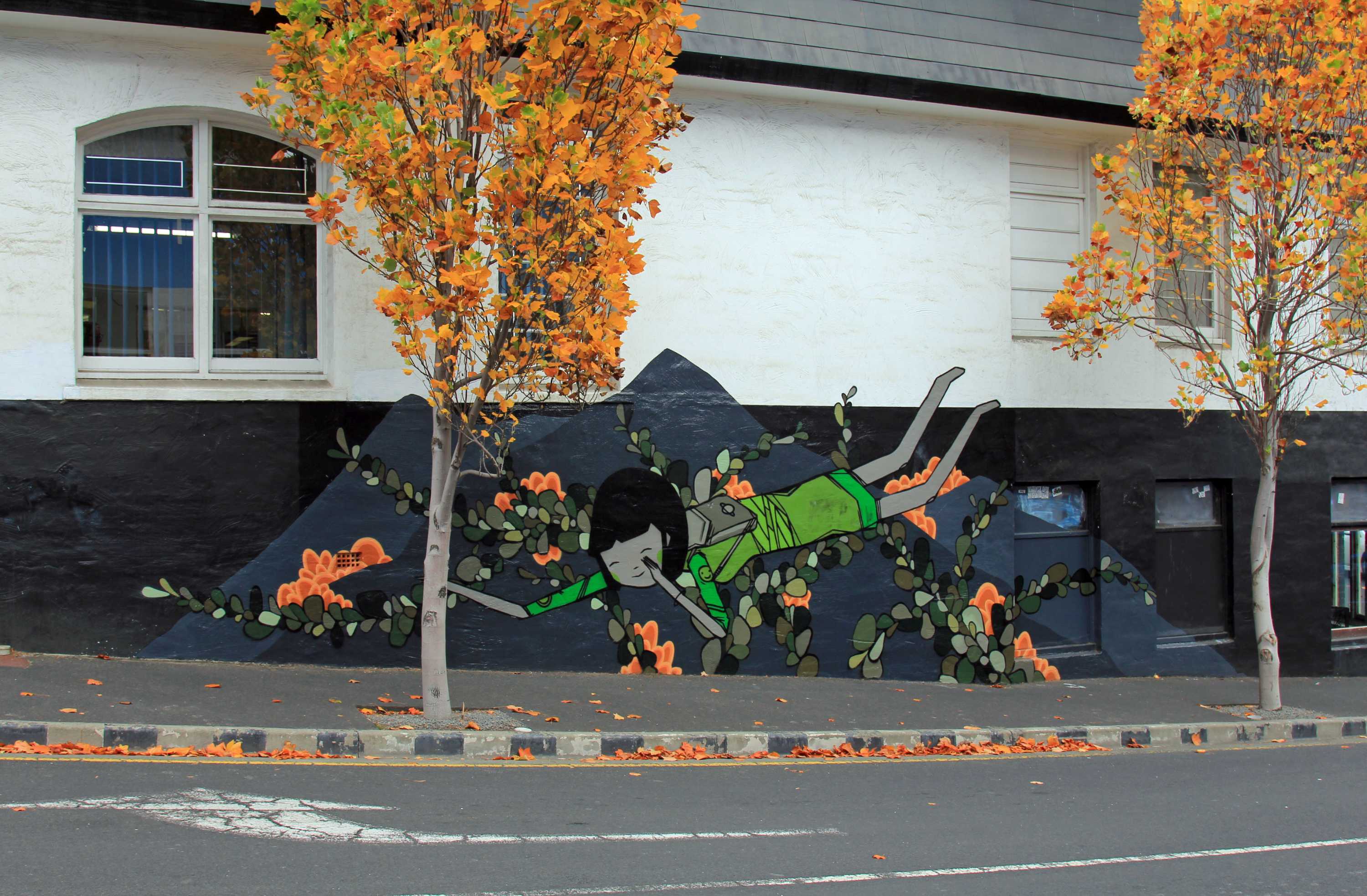 City of Hobart's Urban Art Walls project fighting graffiti with street art ABC News