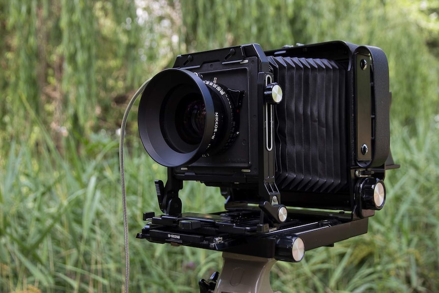 A black analogue camera against a background of reeds and trees