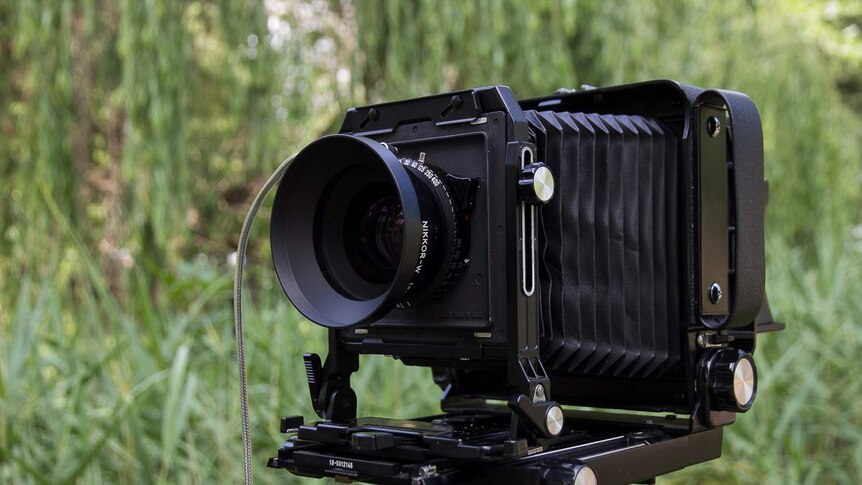 A black analogue camera against a background of reeds and trees