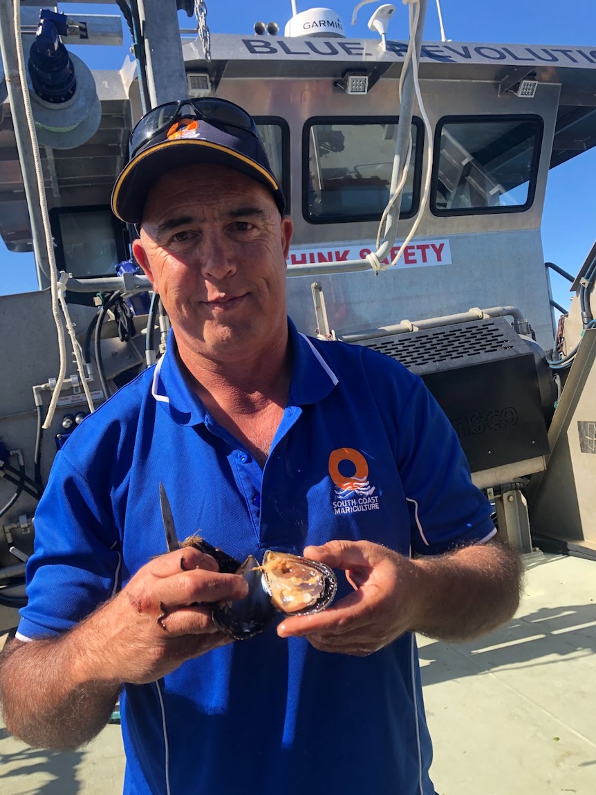 A man in a blue polo shirt and cap stands on a boat holding an open mussel and a knife.