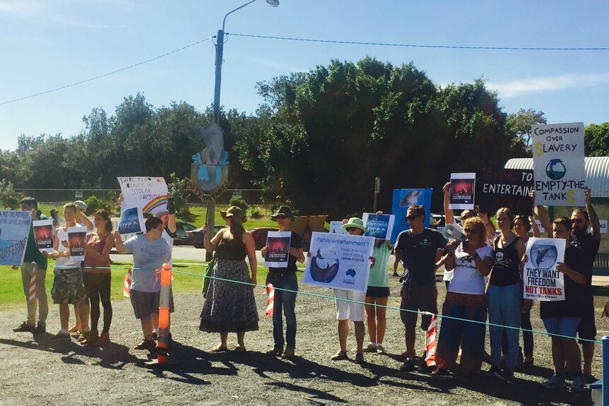 A group of Empty The Tanks protesters lined up outside Dolphin Marine Magic with placards.