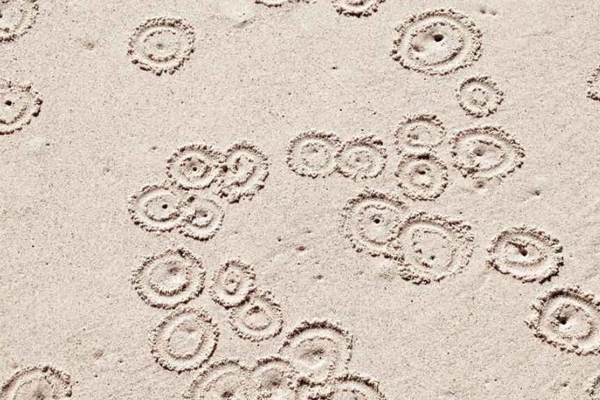 Circular patterns in sand.