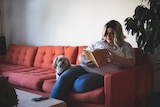 A plus-sized white woman sits on a couch reading a book.