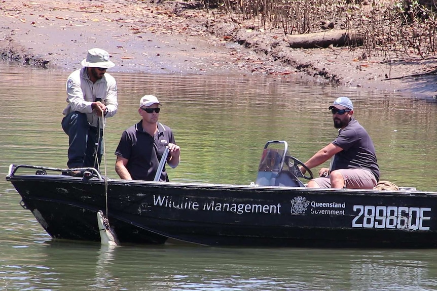A crocodile caught on a baited line deployed by a drone is brought alongside a boat.